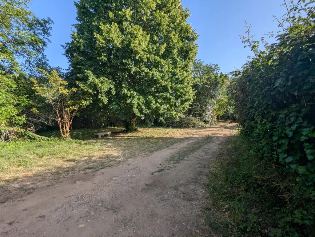 Jardin - Ensemble de 2 Maisons à Rénover dans un Environnement Verdoyant