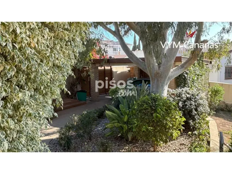 Jardin - Luxury Villa with Pool in Ciudad Quesada