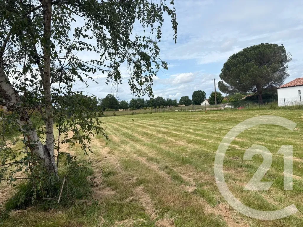 Jardin - Terrain Constructible à Lacourt Saint Pierre