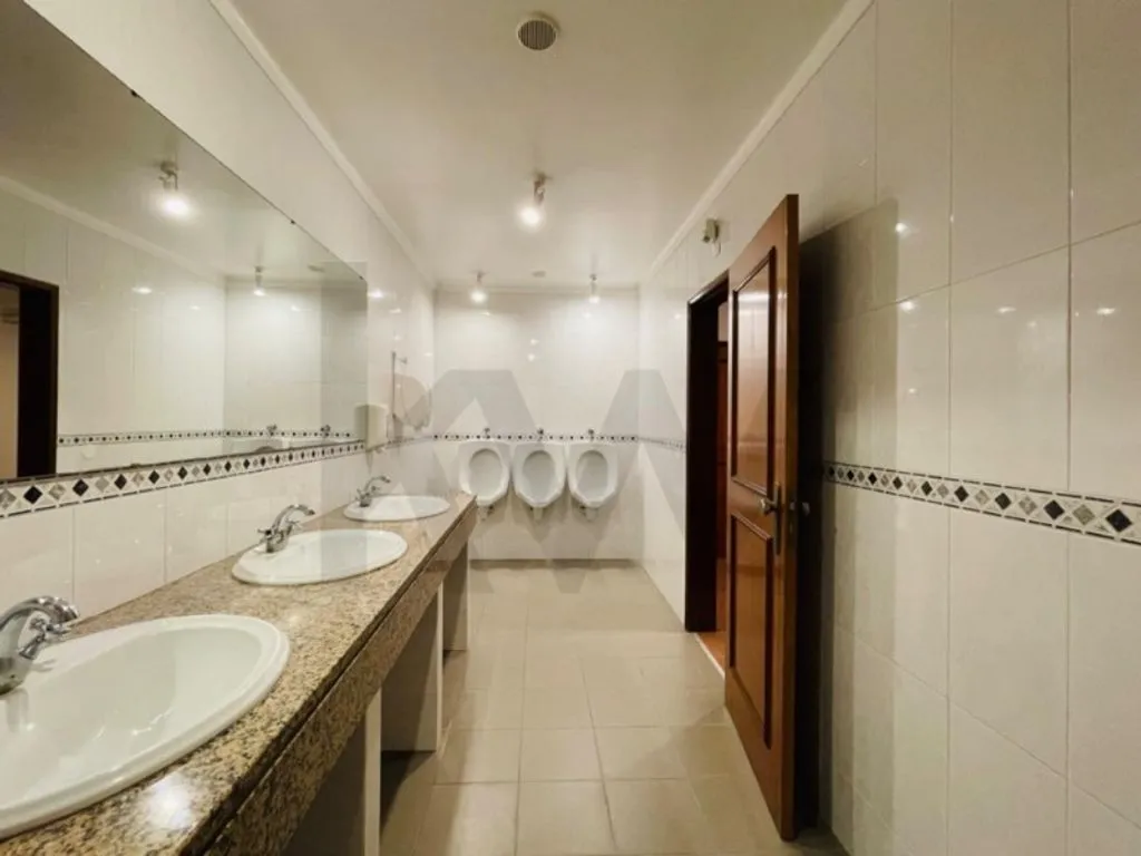 Vannitoad - Luxury Event House with Vineyard in Tomar