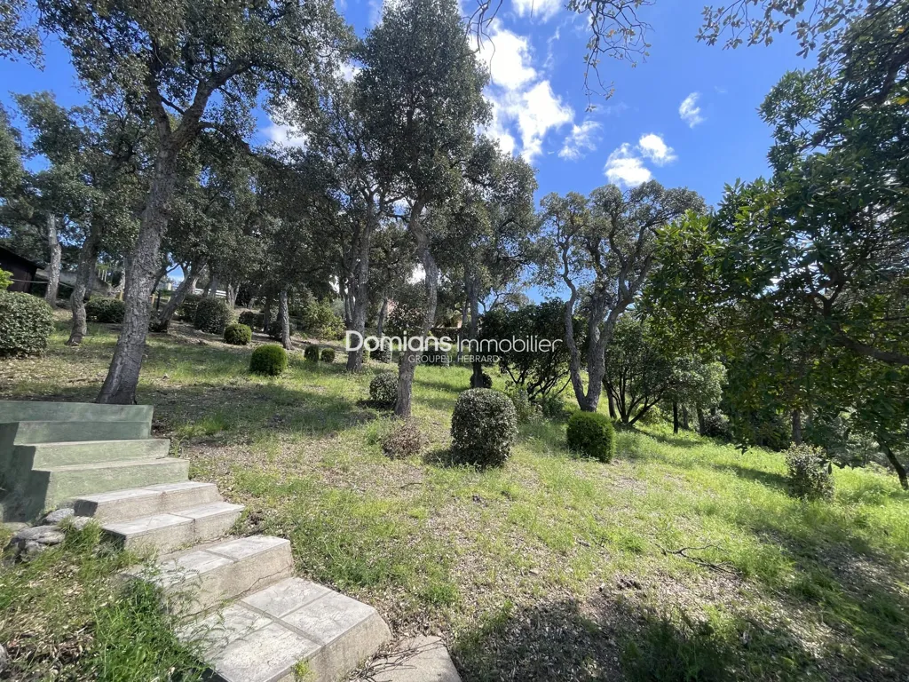 Jardin - Maison Luxueuse avec Vue Panoramique sur le Canigou à El Voló
