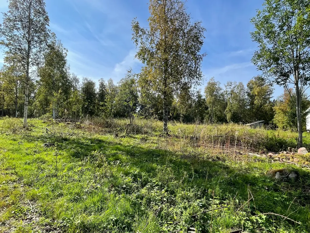 Garden - Villa Plot with Nature Access in Älvdalen