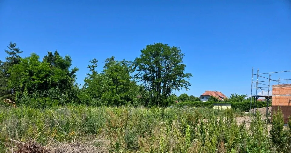 Jardin - Maison à Construire avec Jardin à Algolsheim