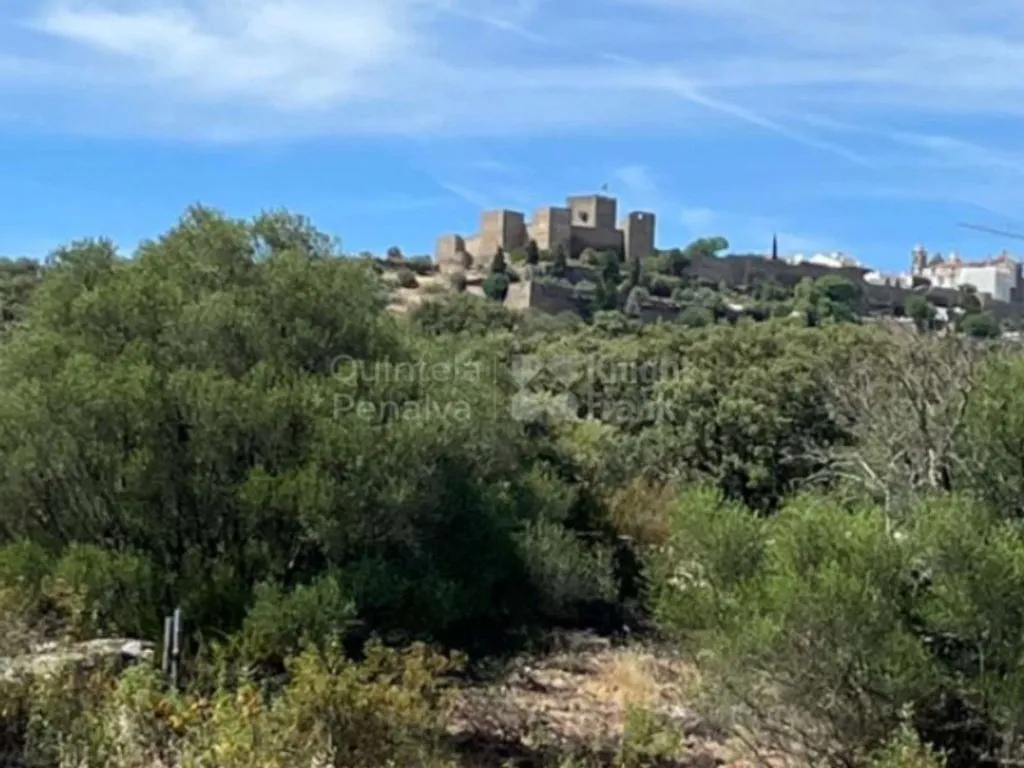 Development Land with Ruins near Monsaraz