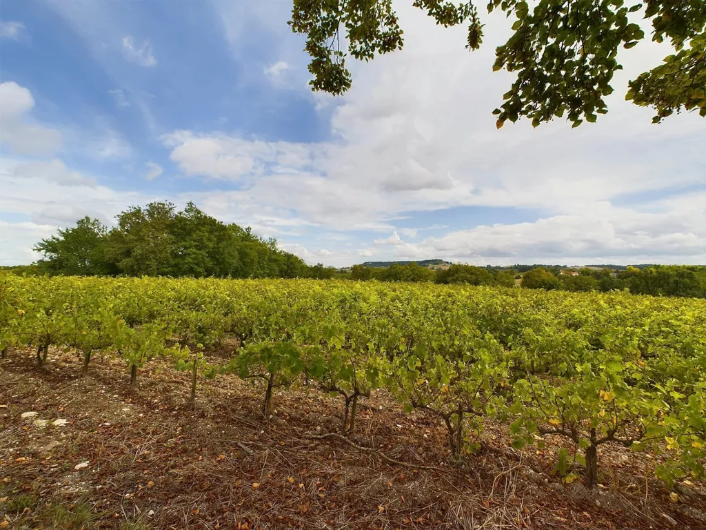 Giardino - Farmhouse with Pool in Vineyard Setting