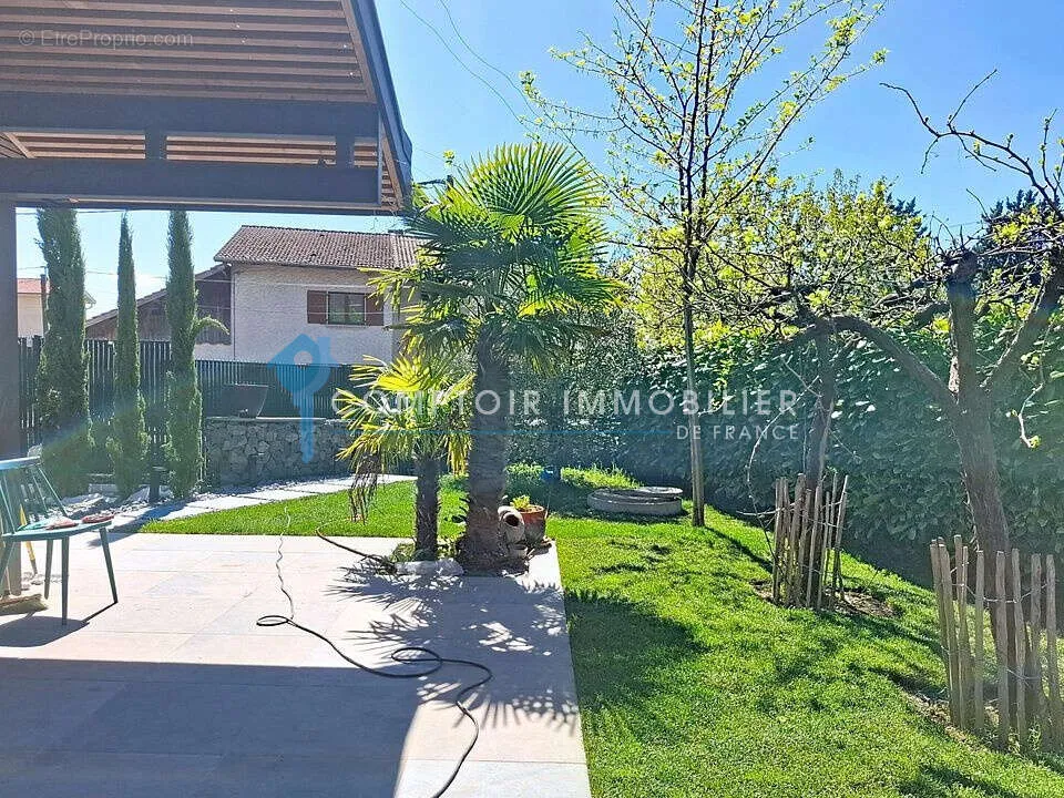 garden