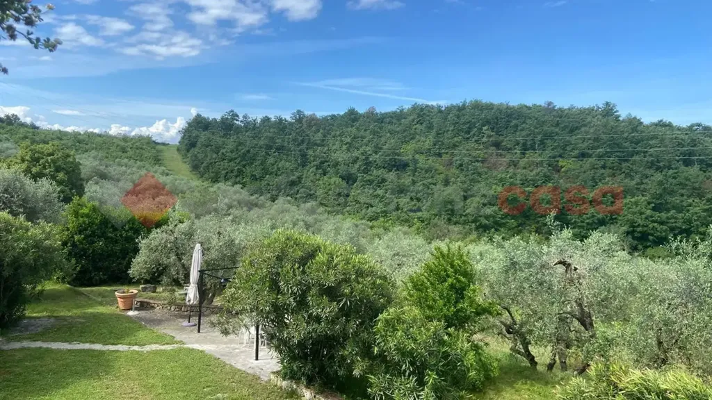 Aed - Villa with Olive Grove in Lastra a Signa