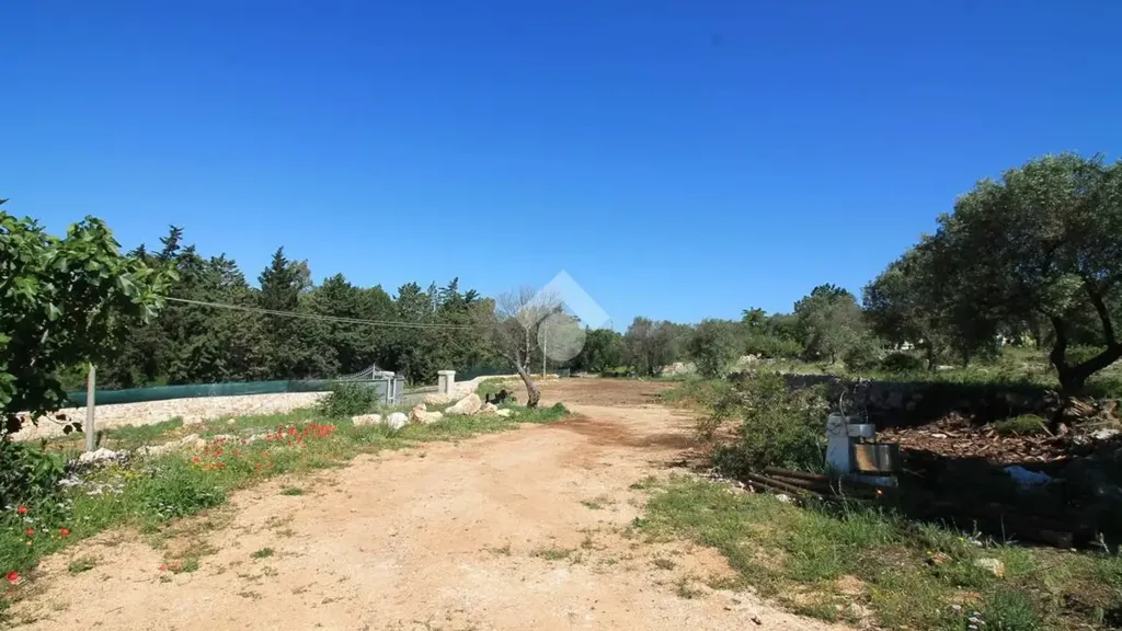 Aed - Rustic Trullo with Panoramic View in Ostuni