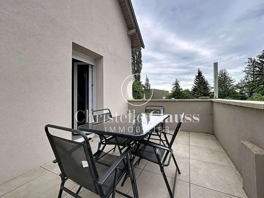 Terrass - Renovated House with Garden in Soultz