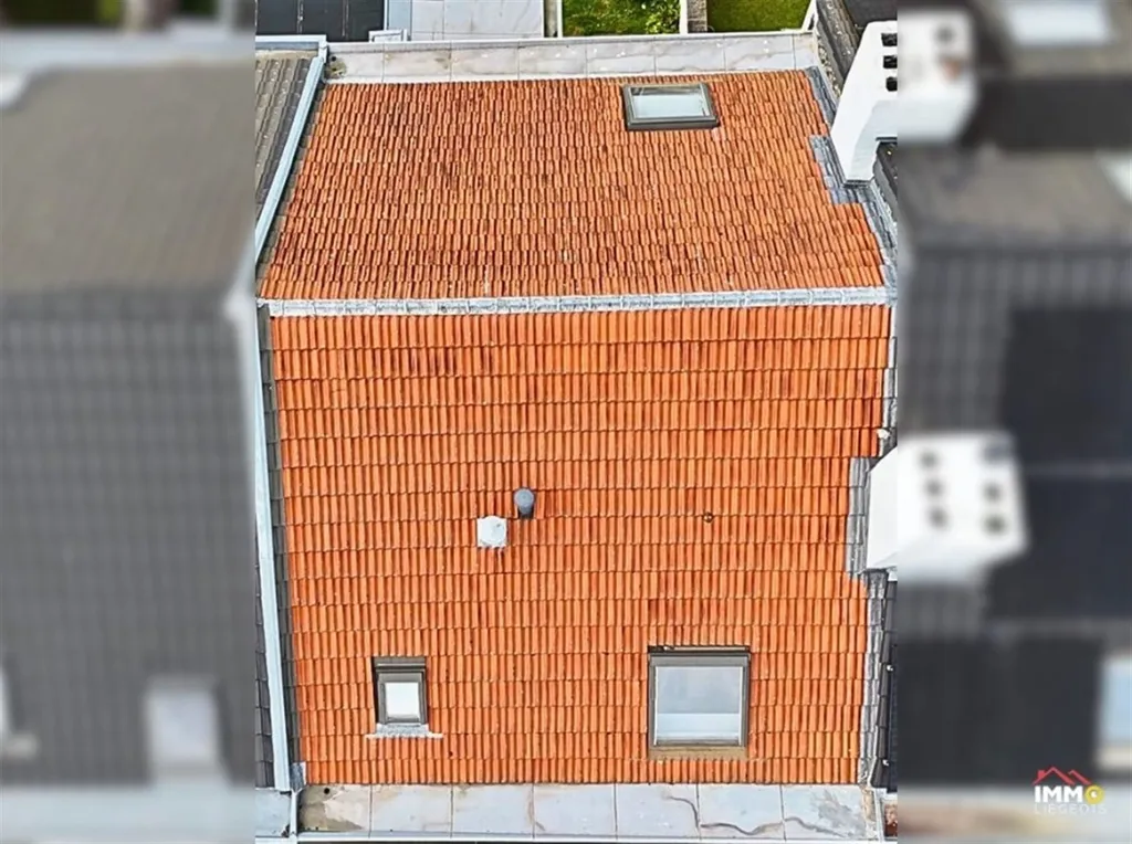 Õhuvaade - 19th-Century House with Terraces in Liège