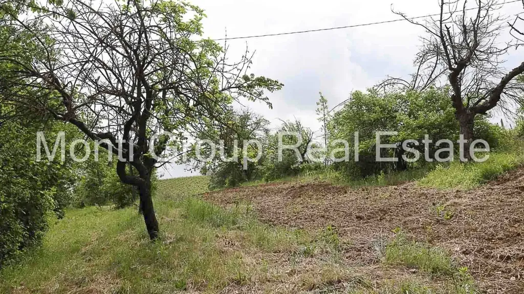Jardin - Rustic Farmhouse with Vineyard View in Strevi