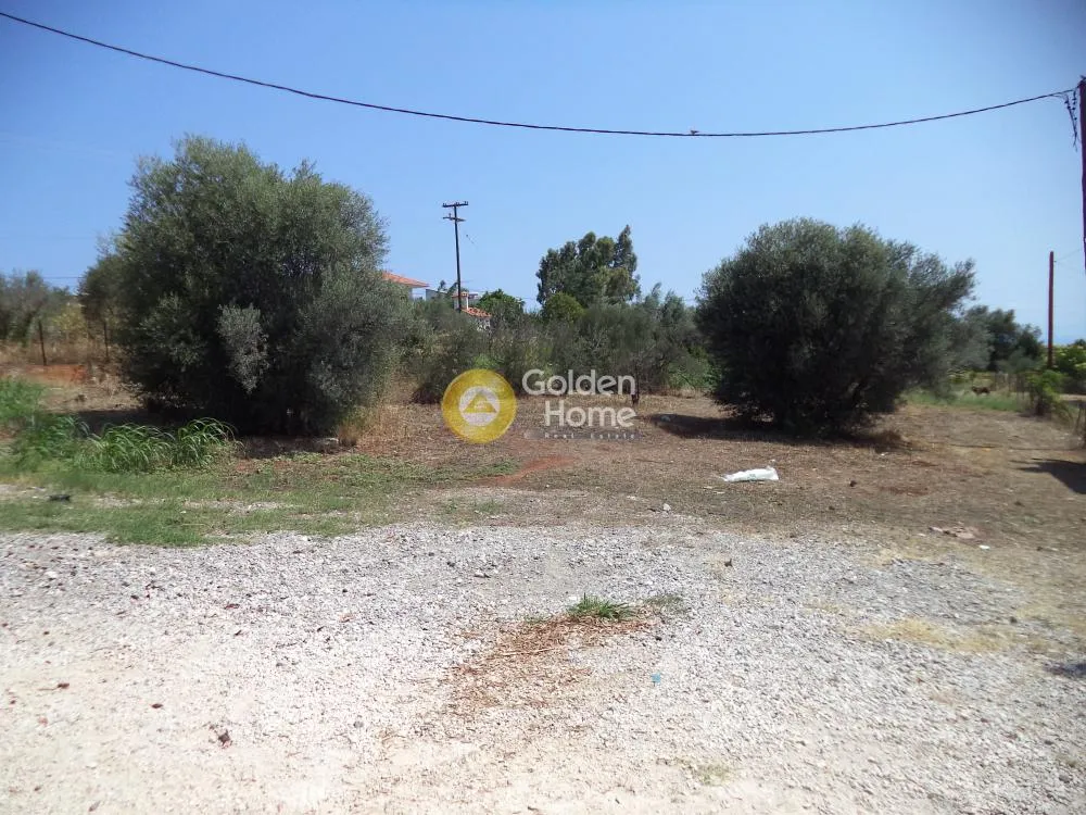 Aed - Plot with Sea View in Akrotiri, Syllion