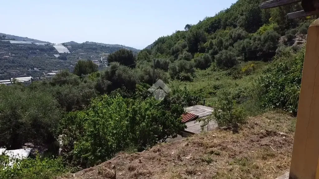 Jardin - Villa with Garden near San Biagio della Cima