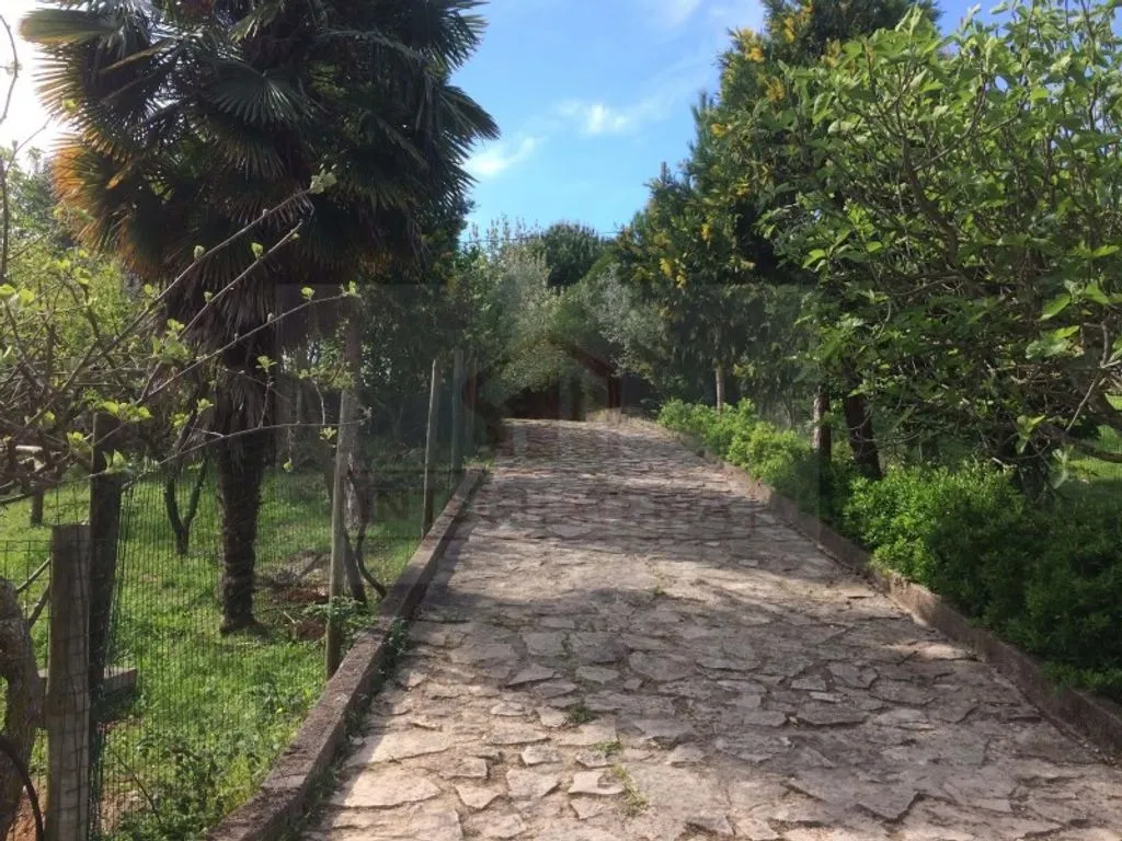 Välivaade - Luxury Farmhouse with Pool near Santarém