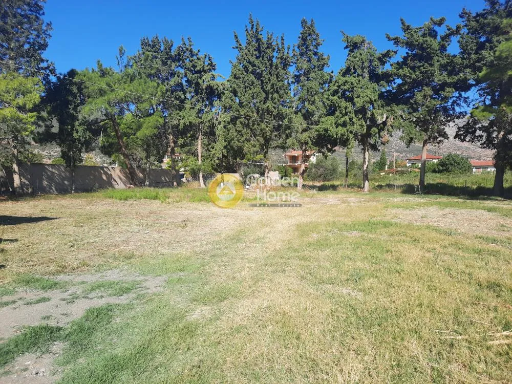 Aed - Beachfront Plot with Sea View in Tolophona