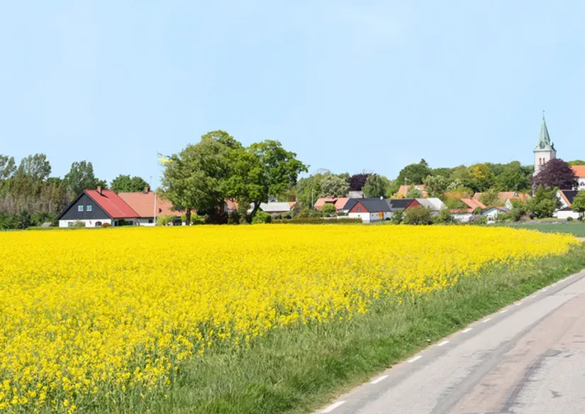 Charming Longhouse with Garden in Scania
