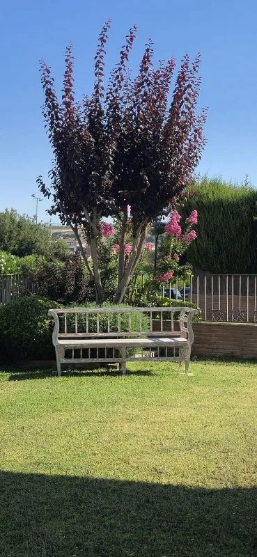 Jardin - Detached House with Pool in Alpicat