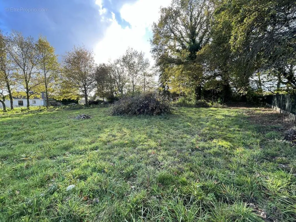 Garden - Building Land in Pipriac