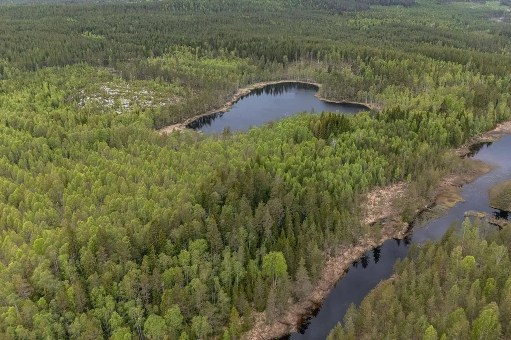 Vue aérienne - Forest Property with Timber in Ljusdal