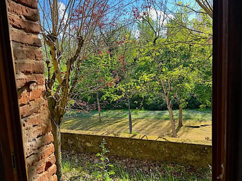 Jardin - Maison à Rénover avec Jardin à Golfech