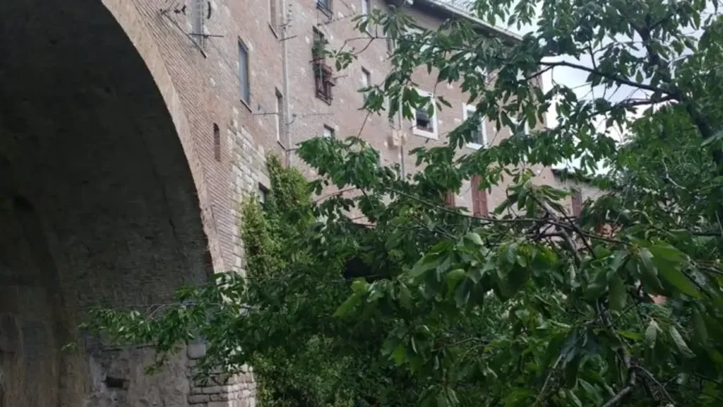 Aed - Apartment with Park View in Perugia