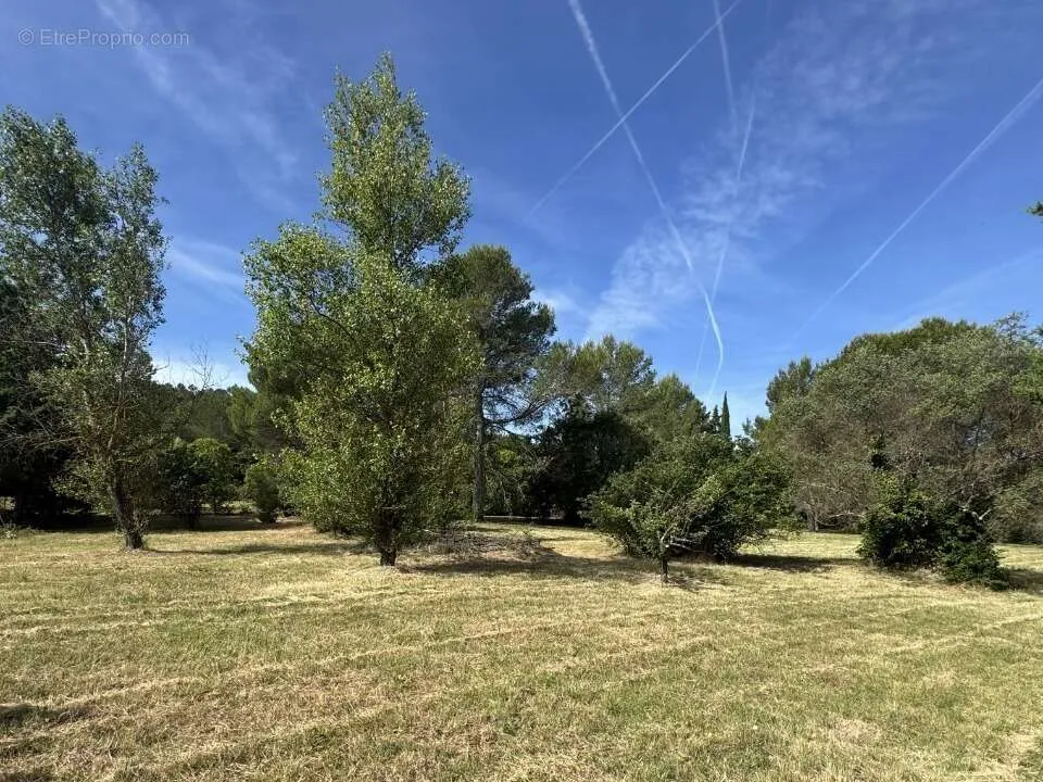 Aed - Plat Viabilised Plot with Olive View in Le Val