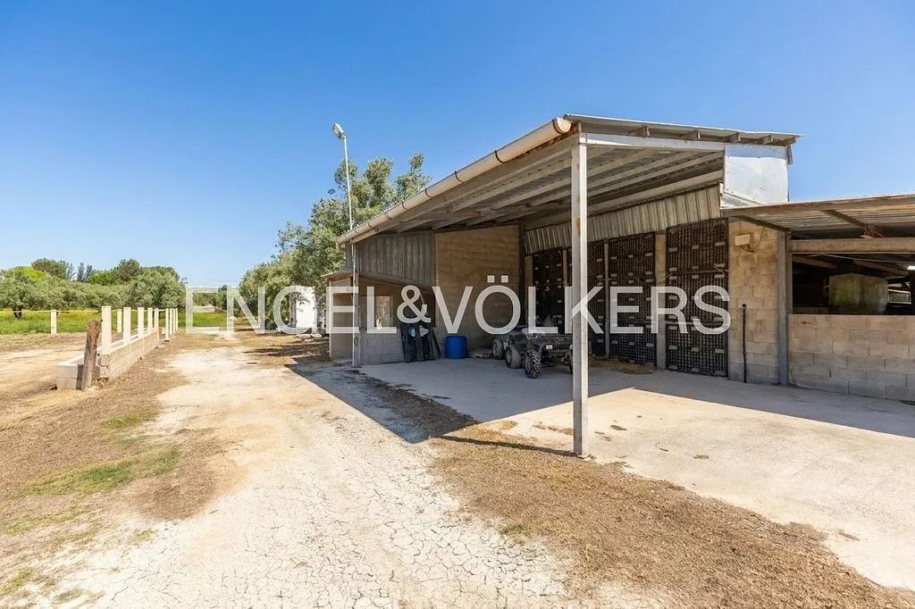 Aed - Equestrian Estate with Pool in Enguera