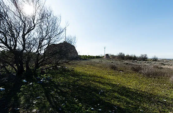Garden - Land Parcel in Rincón de Soto, La Rioja