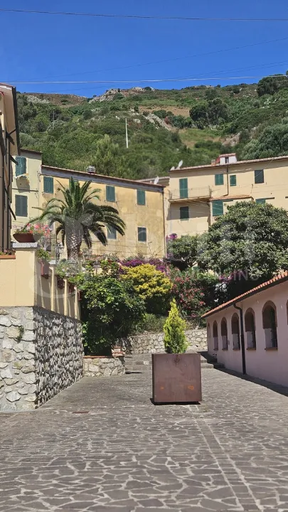 Giardino - Rustic Apartment with Sea View in Rio nell'Elba