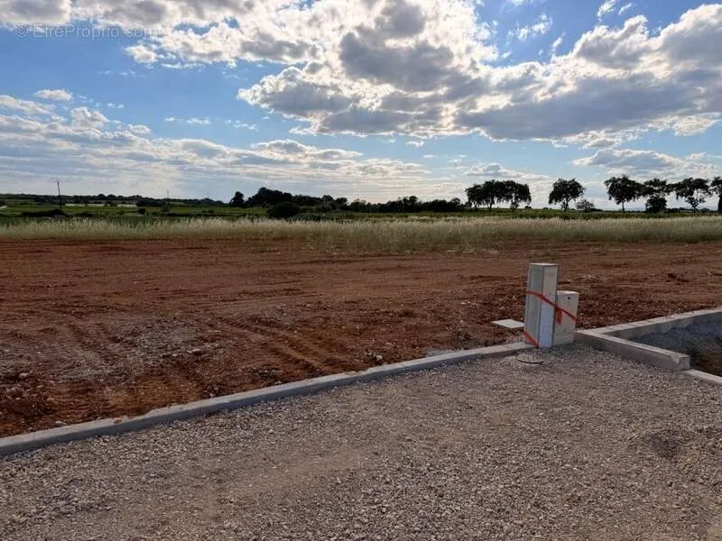Terrain Viabilisé pour Activité Artisanale à Alignan-du-Vent