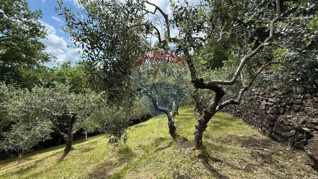 Jardin - Rustic Stone Cottage with Panoramic Views in Bagni di Lucca