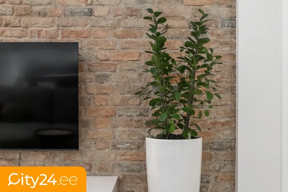 Soggiorno - Two-Bedroom Flat in Riga City Centre
