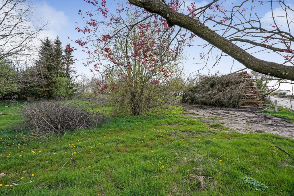 Jardin - Year-Round Plot with 4G Coverage in Østbirk
