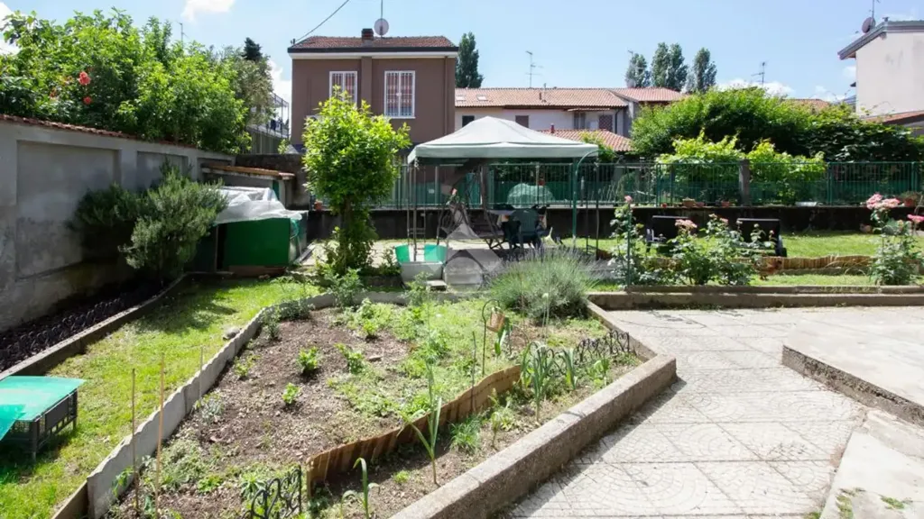 garden