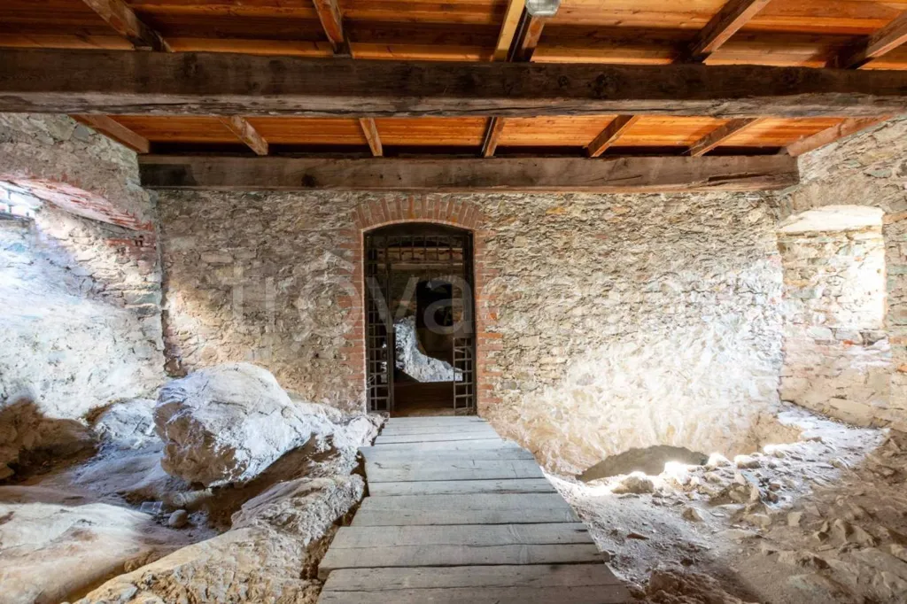 Toad - Panoramic Castle with Garden in Montalto Dora