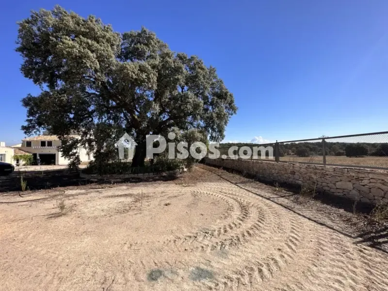 Jardin - Historic Finca with Vineyards in Requena
