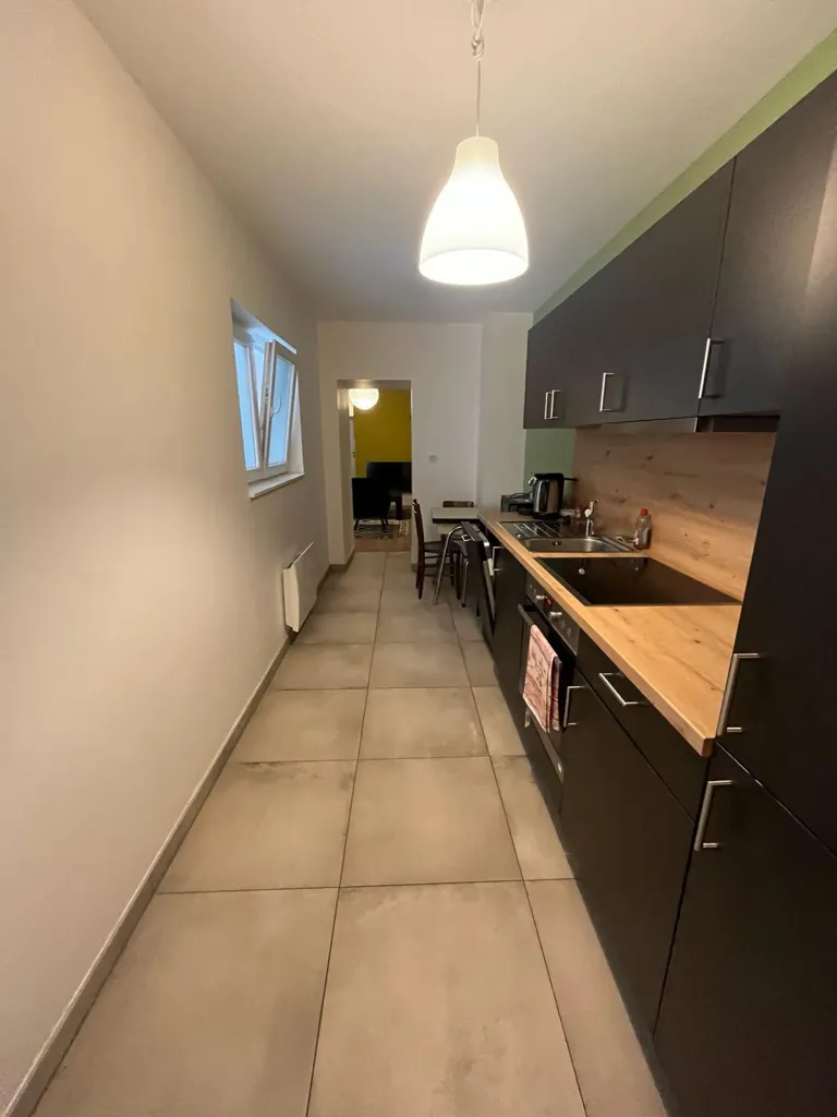 Köök - Renovated 2-Bed Flat with Terrace in Mulhouse