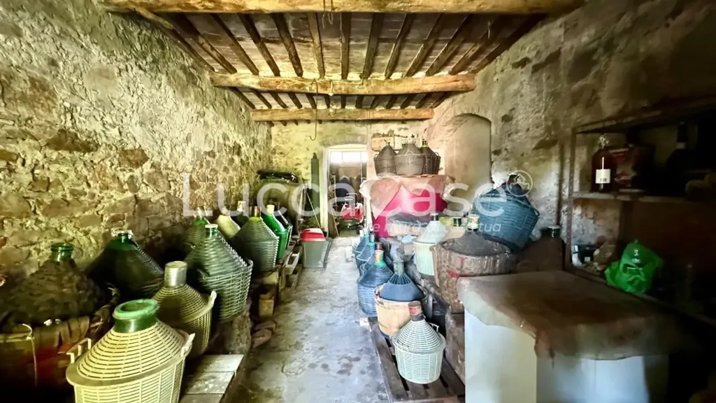 Buanderie - Rustic Cottage with Garden in Vicopelago, Lucca