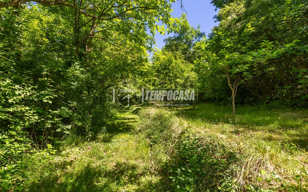 Giardino - Trilocale with Garden in Rivalba