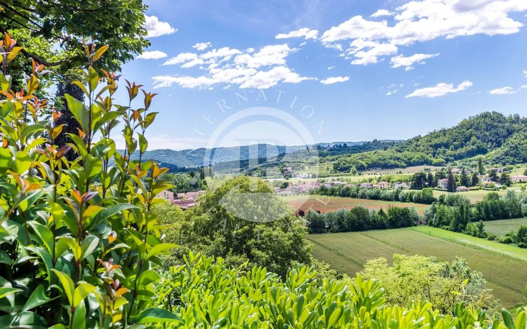 Aed - Luxury Villa with Pool near Vicenza