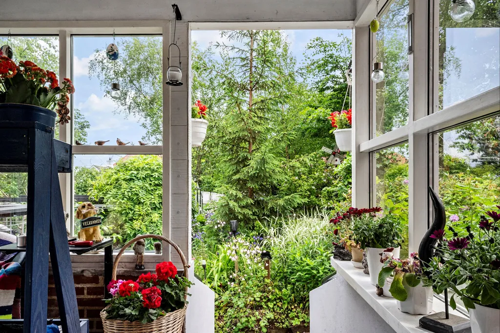 terrace_patio