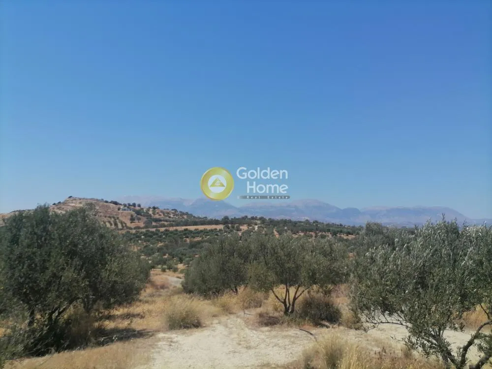 Garden - Buildable Plot with Olive Trees in Phaistos