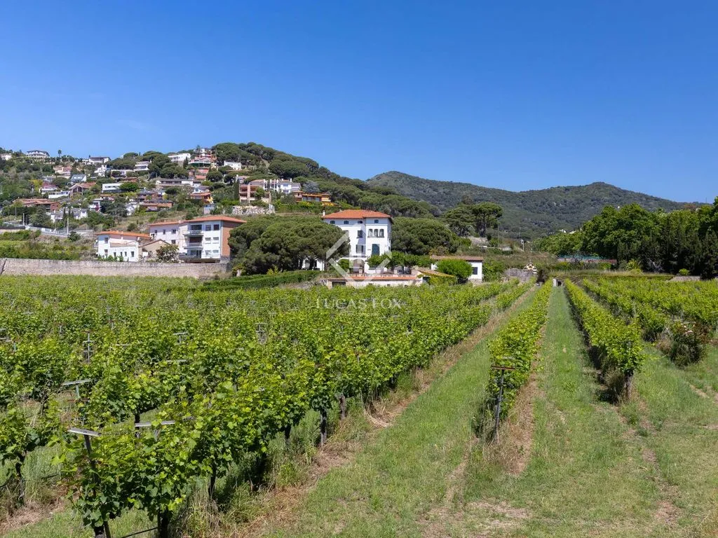 Jardin - Historic Country House with Vineyards in Alella