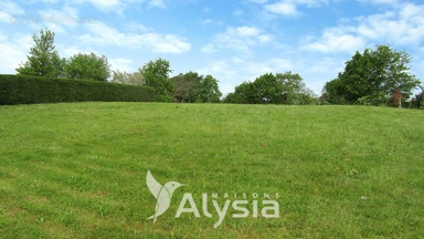 Alle Fotos (1) - Buildable Plot in Rouxmesnil-Bouteilles