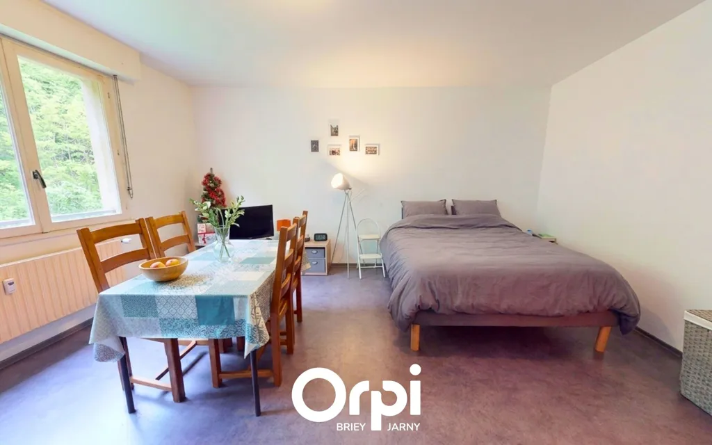 Magamistoad - Studio with Parking in Conflans-en-Jarnisy