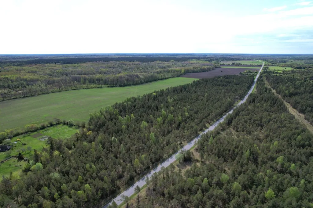 Vue aérienne - Forested Land with Access Road in Väike-Võhma, Saaremaa
