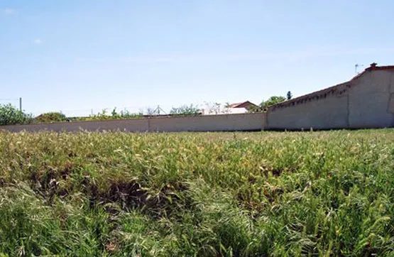 Jardin - Land Parcel in Pinilla de Toro, Zamora