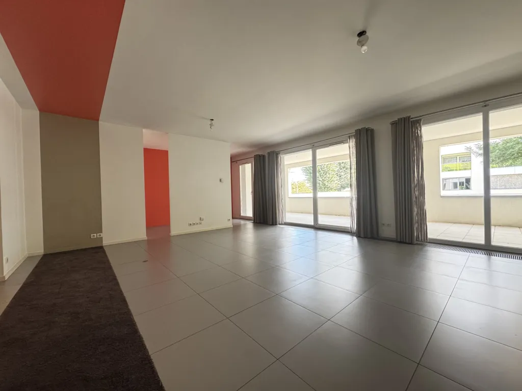 Living Room - Luxury Apartment with Terrace in Pfastatt