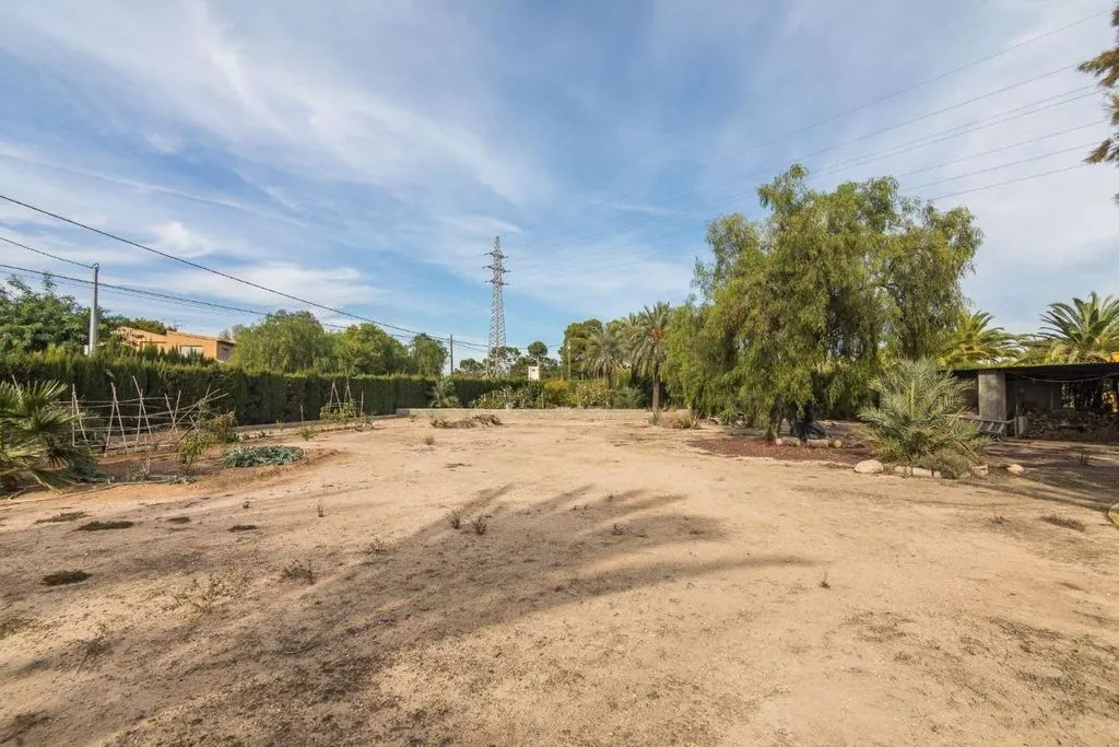 Jardin - Luxury Villa with Pool in Elche