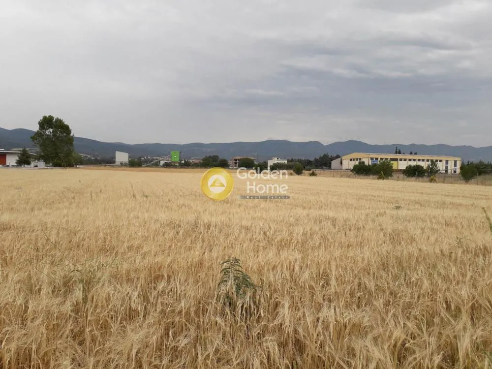 Jardin - Buildable Plot with Unrestricted View in Thermi